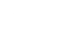 TRICKEDOUTMINIS