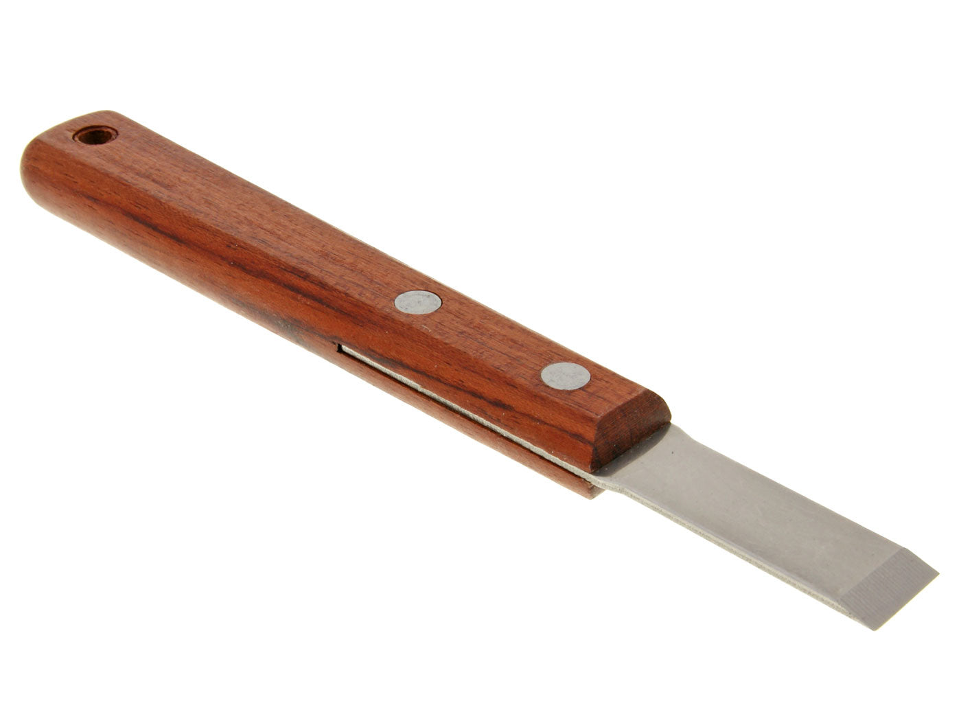 Buzzetti gasket remover tool