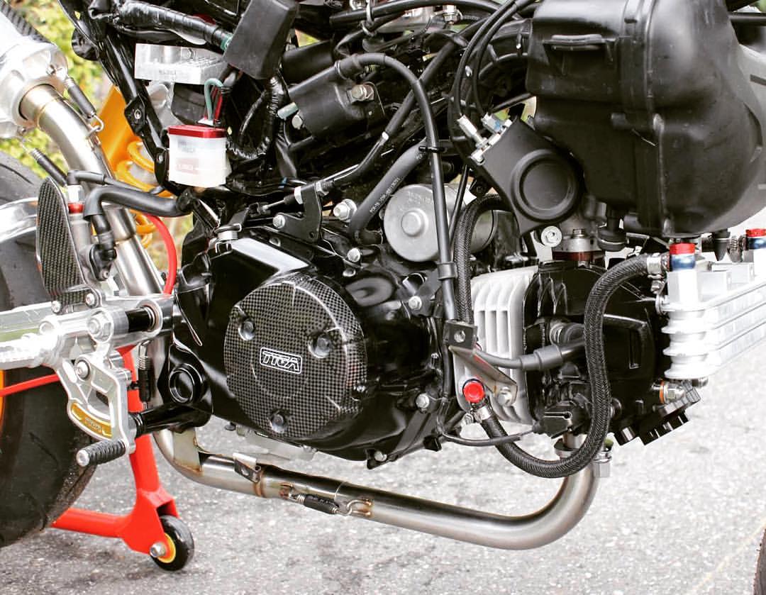 KITACO NEO 181CC BIG BORE PERFORMANCE KIT (WITH FORGED CRANK SHAFT) FOR HONDA GROM/MSX MONKEY 125 2013-2020